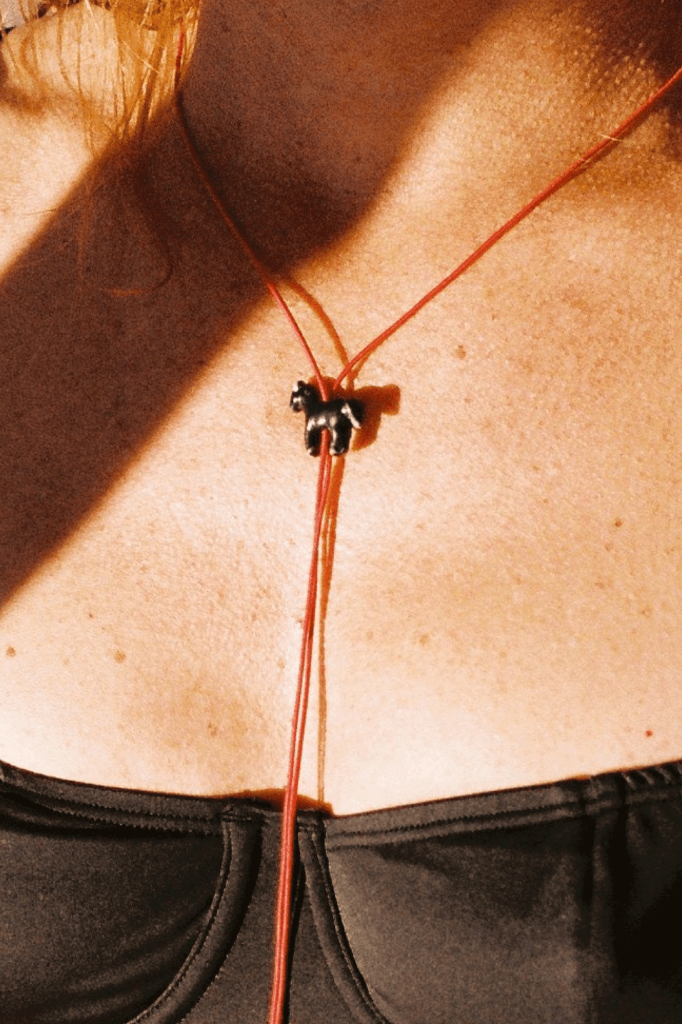 Collar Horse